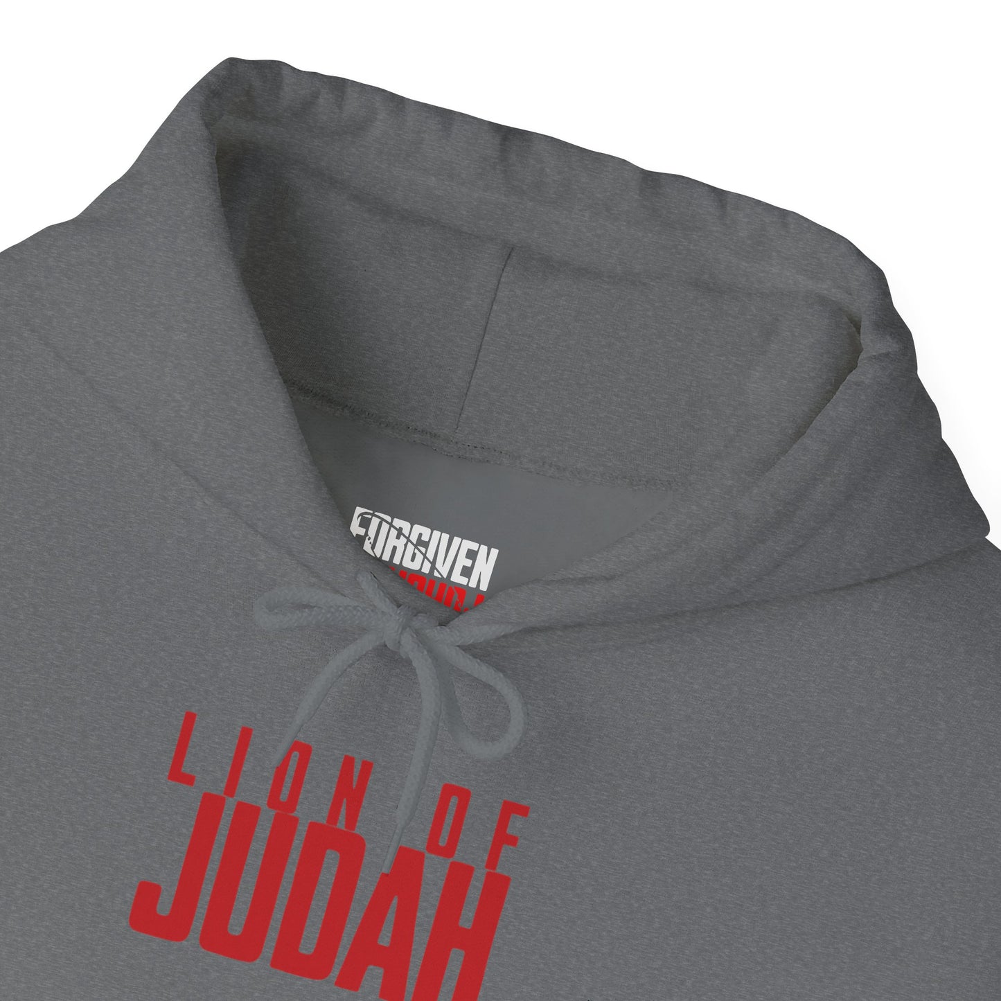 Lion of Judah-Unisex Hoodie