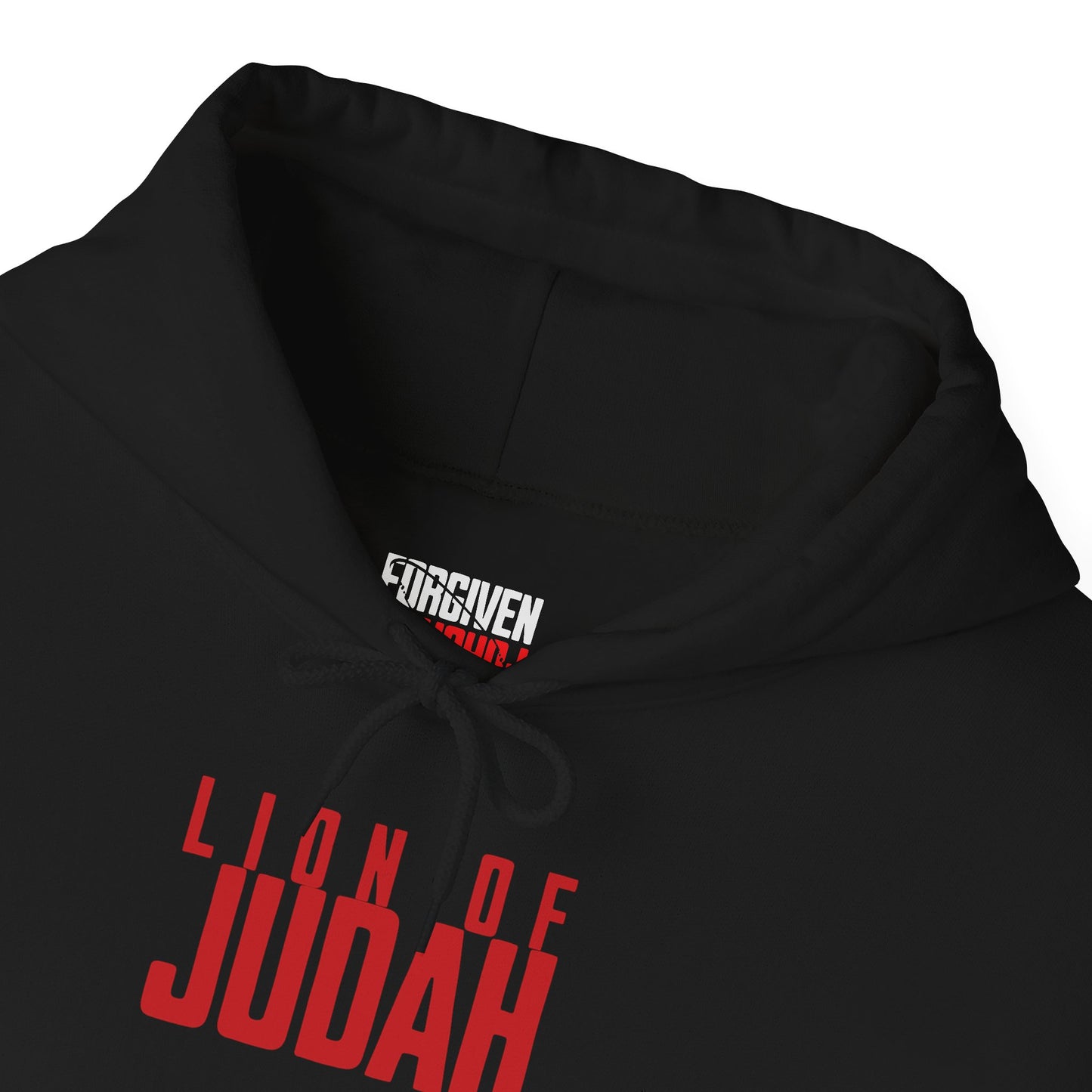 Lion of Judah-Unisex Hoodie