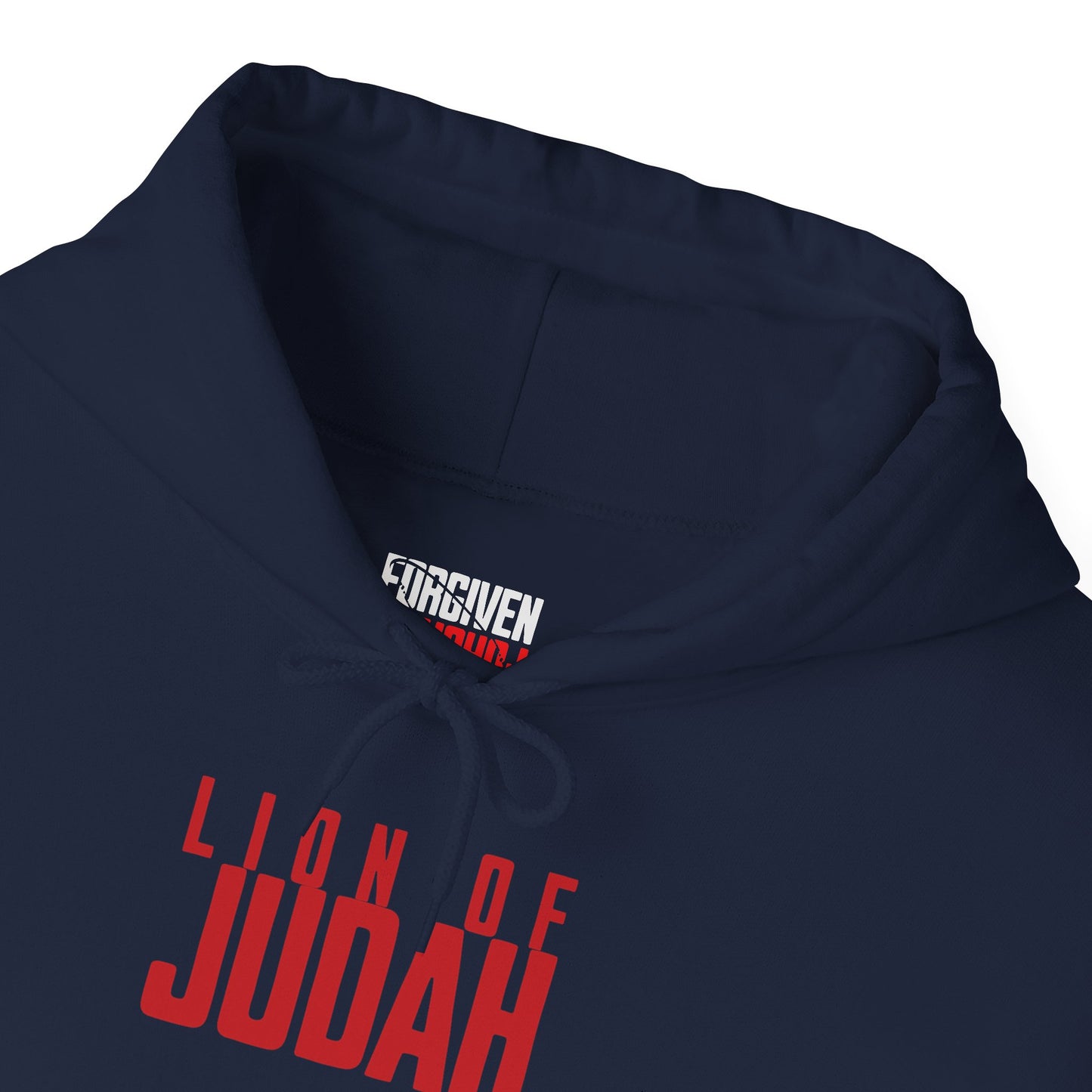 Lion of Judah-Unisex Hoodie